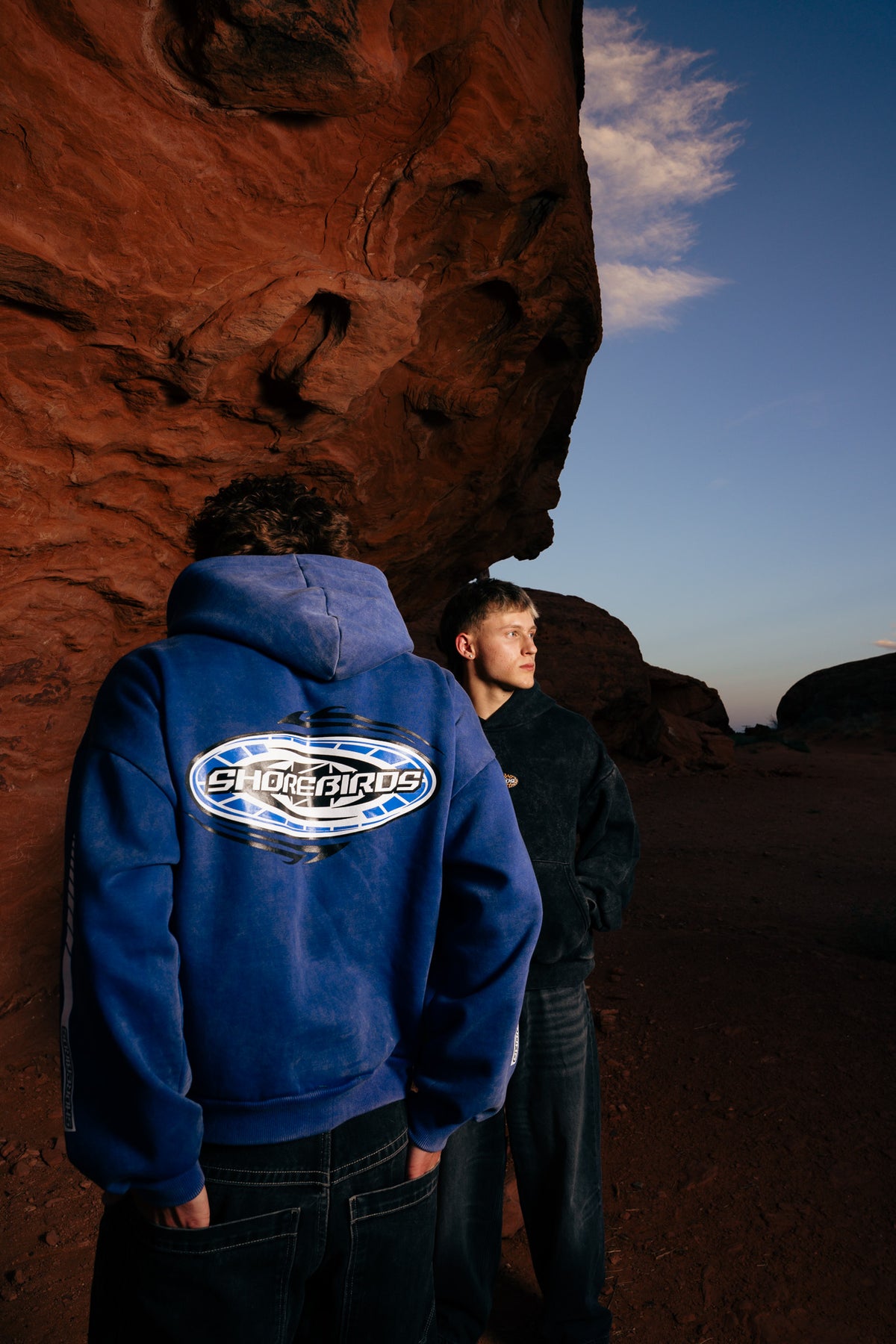 Shorebirds Blue Racing Hoodie